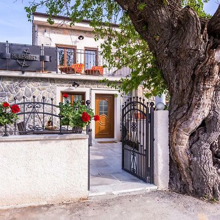Villa Mulberry Milohnici Kültér fotó